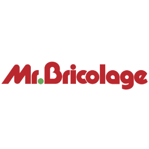 Mr. Bricolage